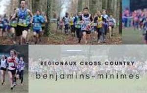 Benjamins / Minimes
