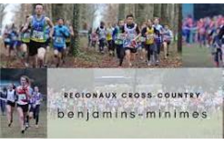 Benjamins / Minimes